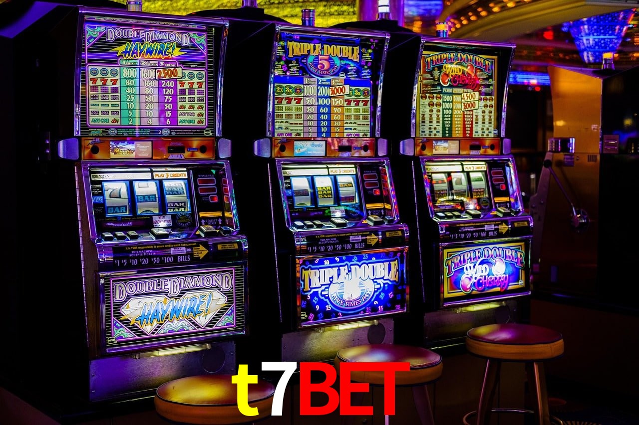 Experiência VIP t7bet