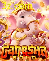 T7BET.COM